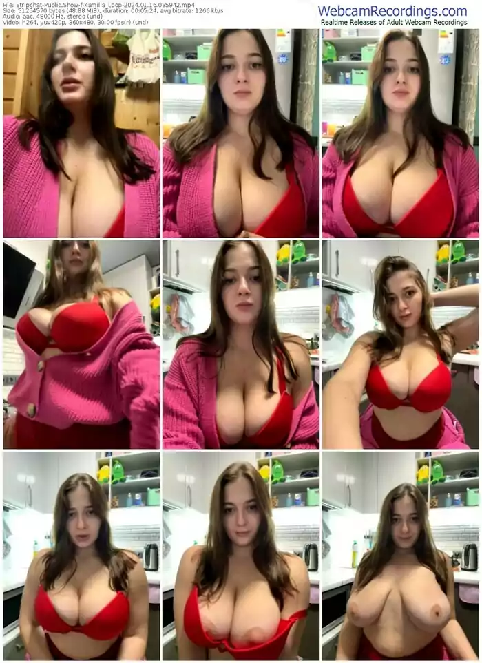 2024/01/16/stripchat-kamilla_loop-03-59-42