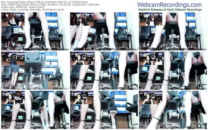 2024/01/16/stripchat-office_assistant-00-09-24