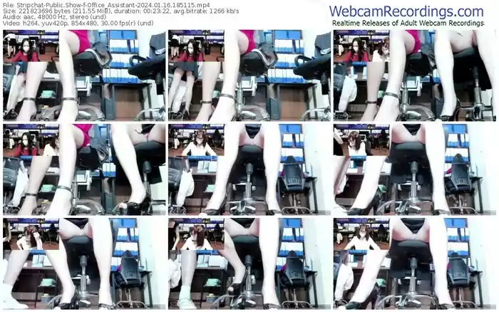 2024/01/16/stripchat-office_assistant-18-51-15