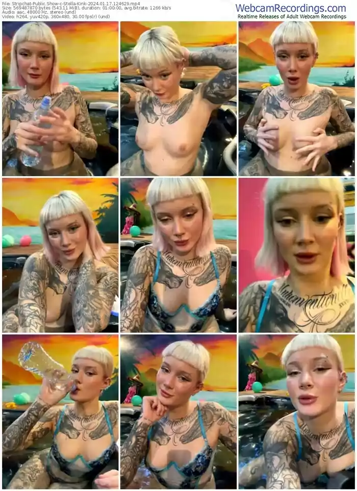 2024/01/17/stripchat-stella-kink-12-46-29