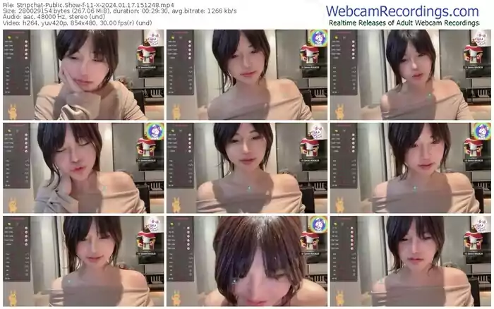 2024/01/17/stripchat-11-x-15-12-48