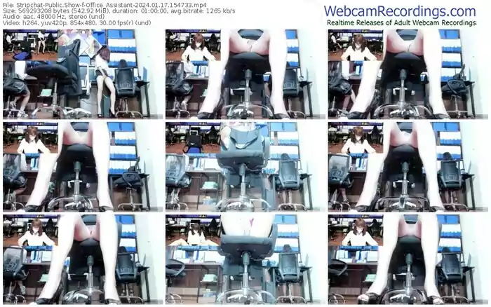 2024/01/17/stripchat-office_assistant-15-47-33