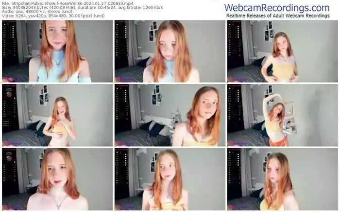 2024/01/17/stripchat-rosewellsk-02-08-33