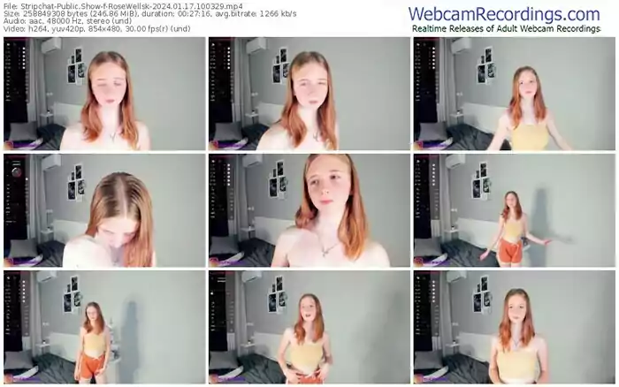 2024/01/17/stripchat-rosewellsk-10-03-29