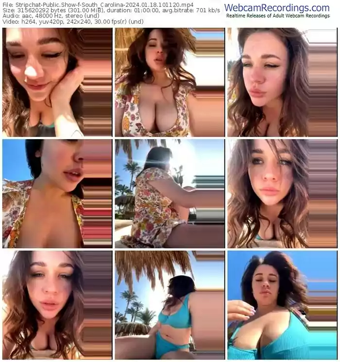 2024/01/18/stripchat-south_carolina-10-11-20