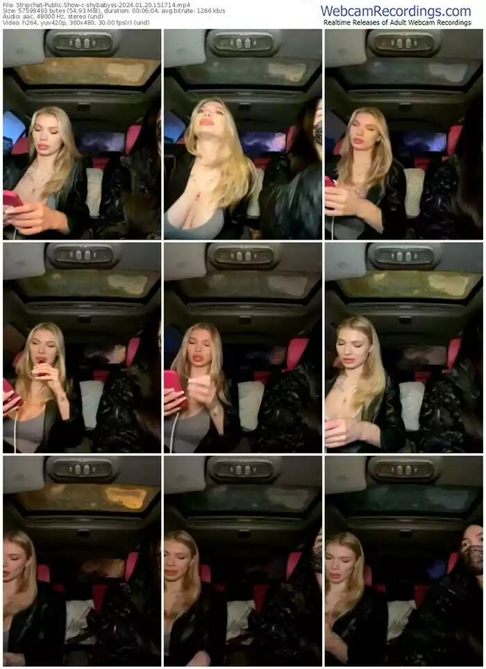 2024/01/20/stripchat-shybabyss-15-17-14