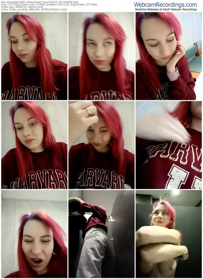 2024/01/20/stripchat-frost_foxy-02-08-38