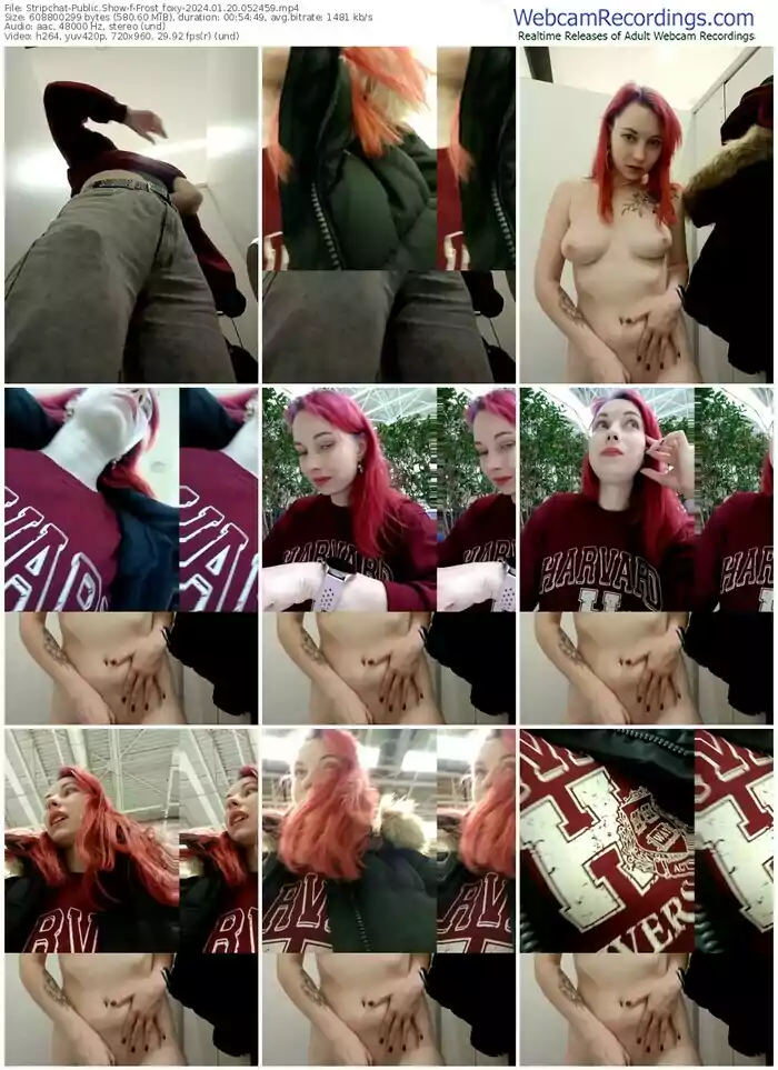 2024/01/20/stripchat-frost_foxy-05-24-59