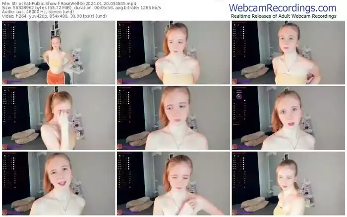 2024/01/20/stripchat-rosewellsk-03-48-45