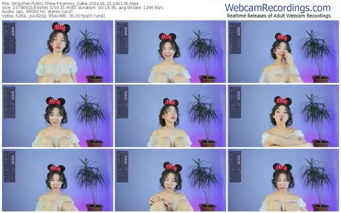 2024/01/21/stripchat-kammy_dake-18-11-36