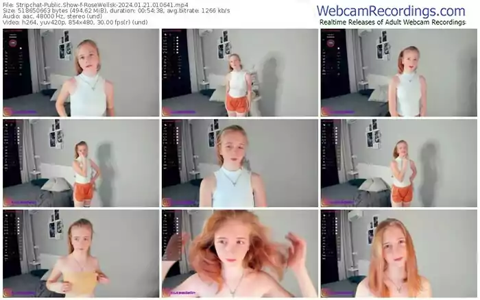 2024/01/21/stripchat-rosewellsk-01-06-41