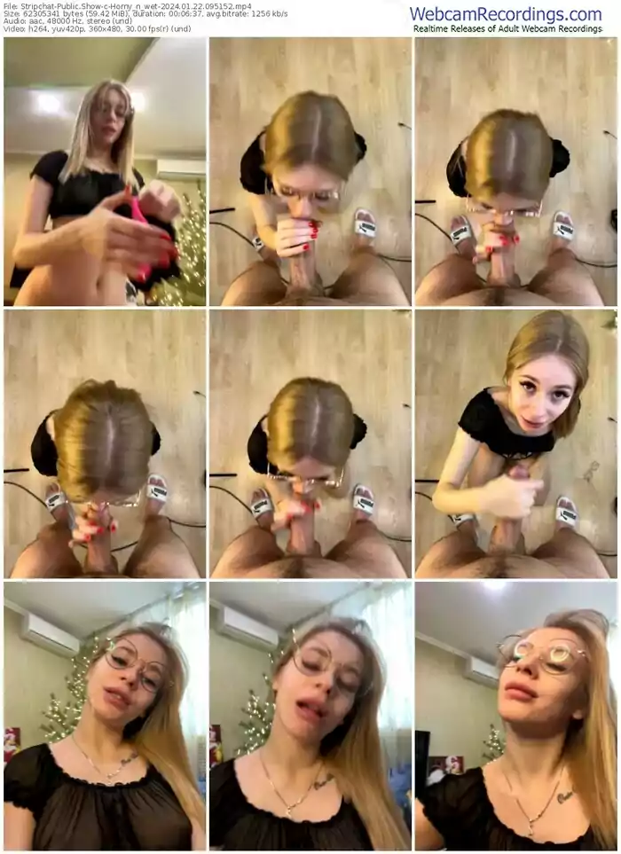 2024/01/22/stripchat-horny_n_wet-09-51-52