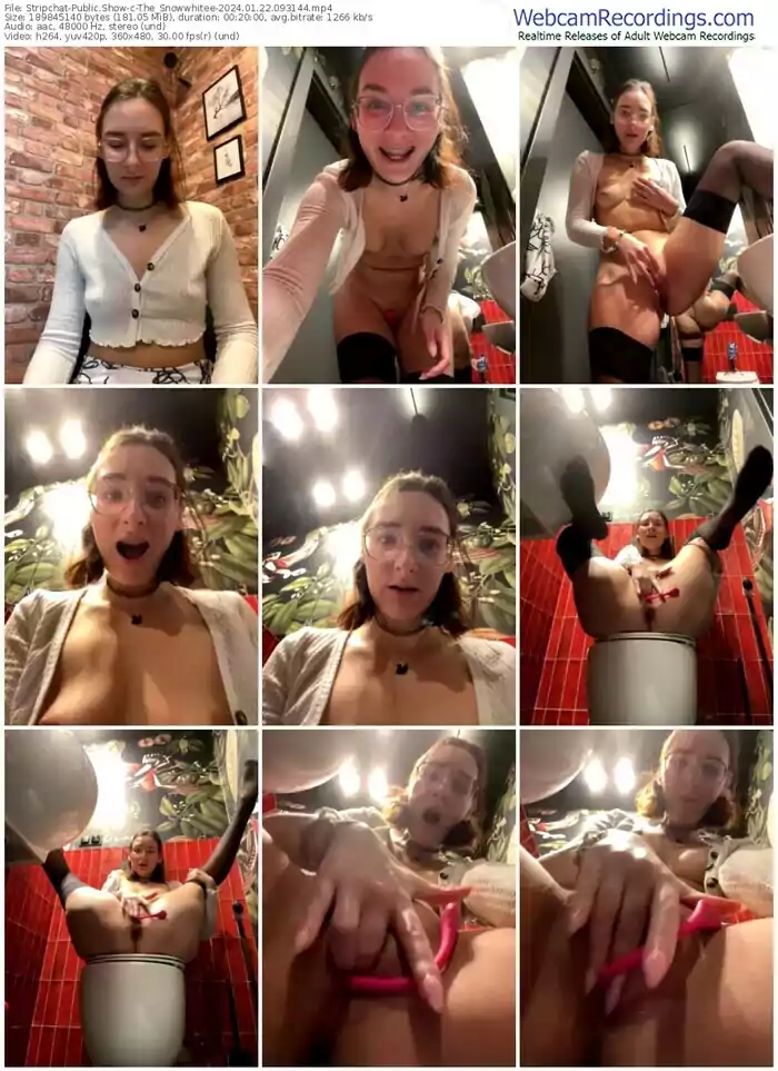 2024/01/22/stripchat-the_snowwhitee-09-31-44