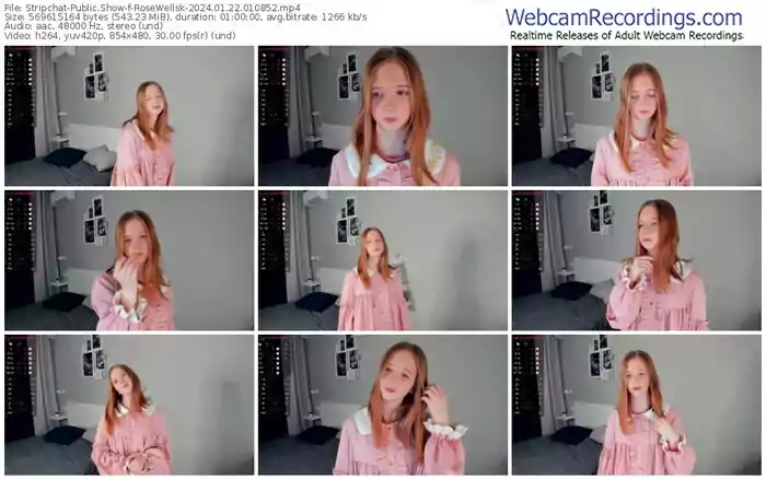 2024/01/22/stripchat-rosewellsk-01-08-52