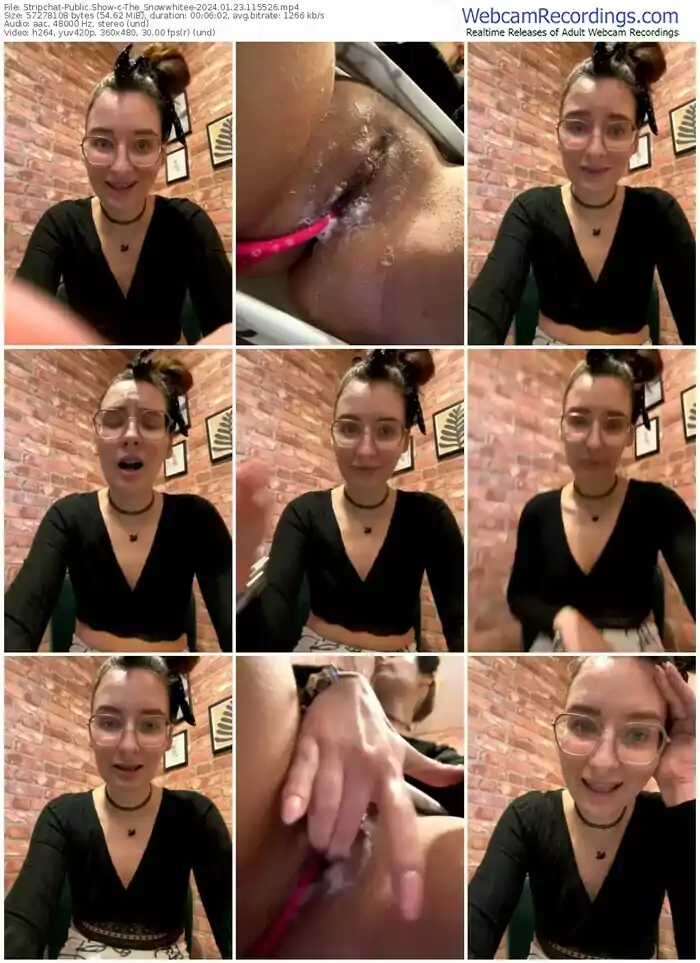 2024/01/23/stripchat-the_snowwhitee-11-55-26