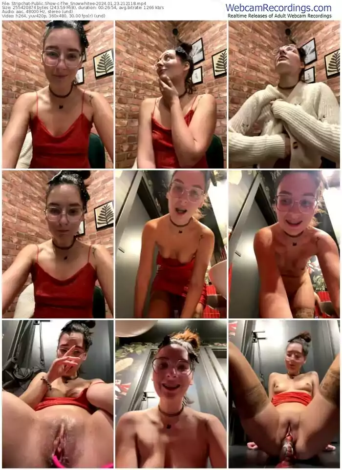 2024/01/23/stripchat-the_snowwhitee-21-21-18