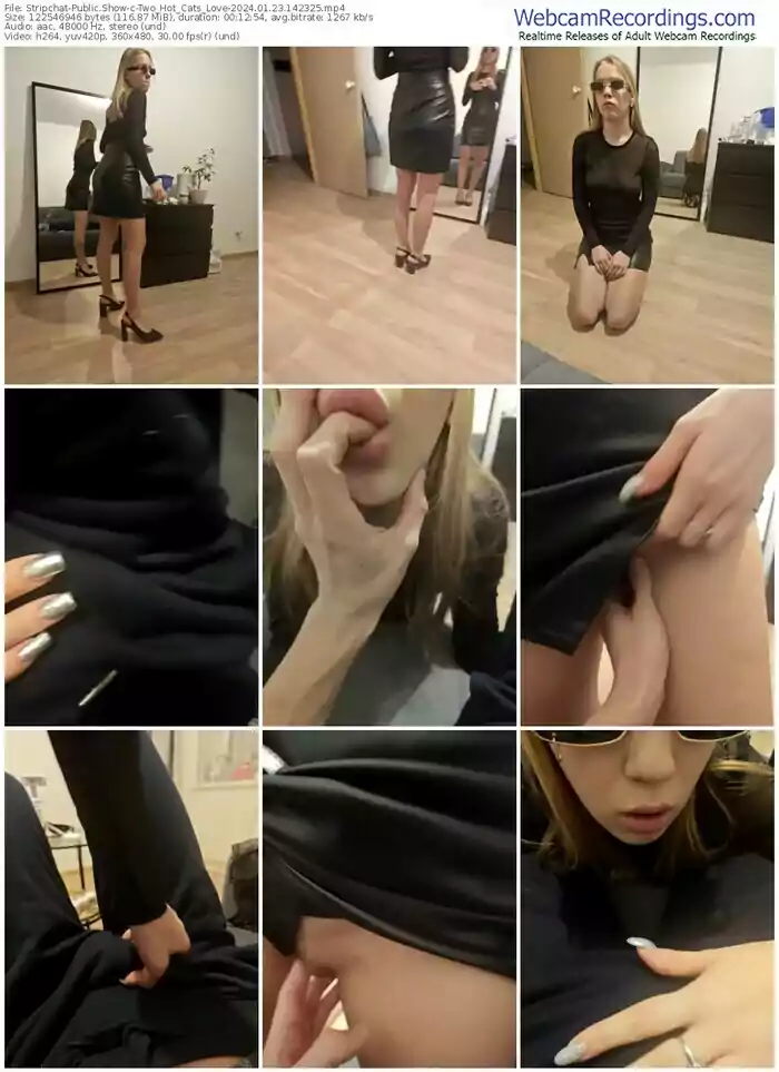 2024/01/23/stripchat-two_hot_cats_love-14-23-25