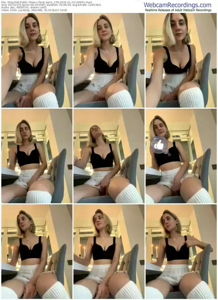 2024/01/23/stripchat-feral_berry_156-18-49-51