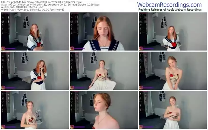 2024/01/23/stripchat-rosewellsk-03-46-24