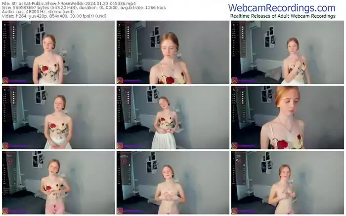 2024/01/23/stripchat-rosewellsk-04-53-36