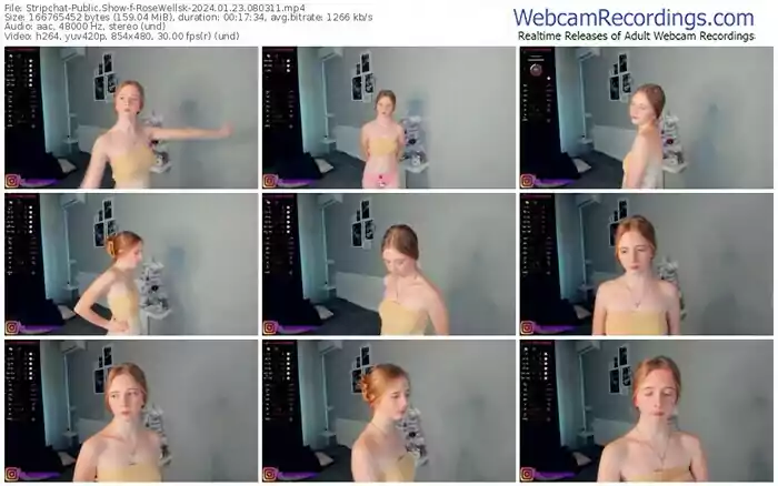 2024/01/23/stripchat-rosewellsk-08-03-11