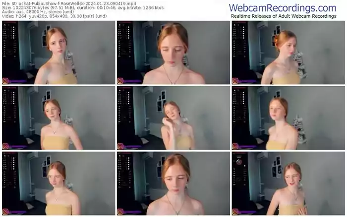 2024/01/23/stripchat-rosewellsk-09-04-19