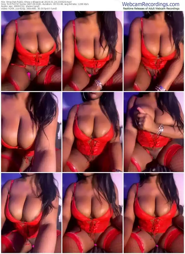 2024/01/24/stripchat-blaackcat-23-09-29
