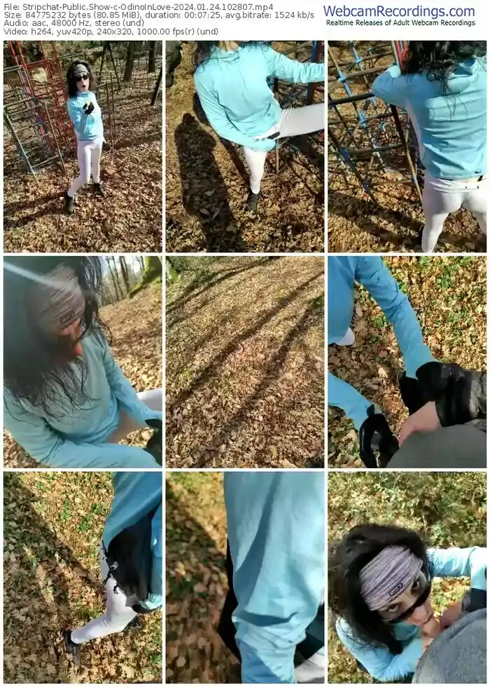 2024/01/24/stripchat-odinoinlove-10-28-07