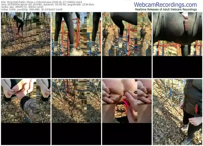 2024/01/27/stripchat-odinoinlove-10-49-51