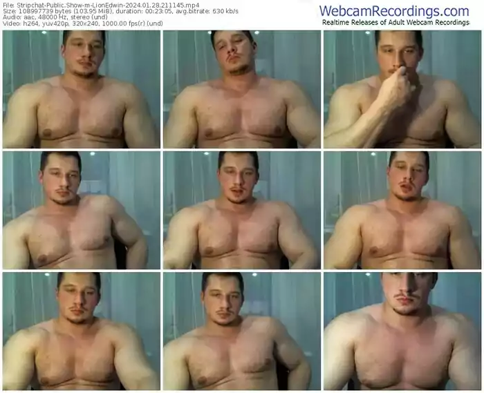 2024/01/28/stripchat-lionedwin-21-11-45