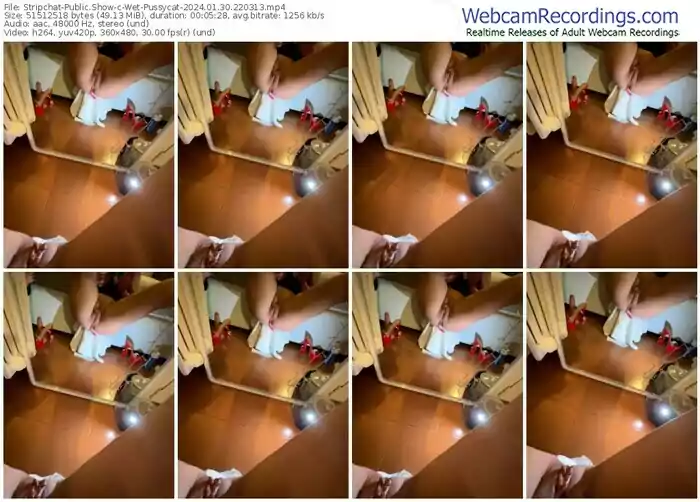 2024/01/30/stripchat-wet-pussycat-22-03-13