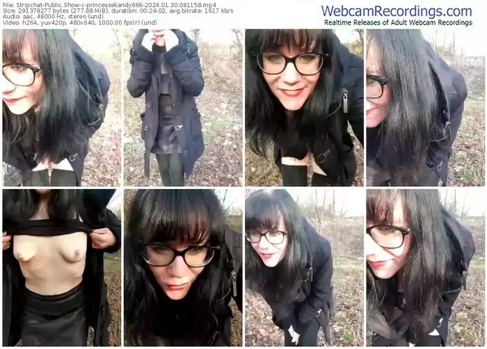 2024/01/30/stripchat-princessekandy666-08-11-58