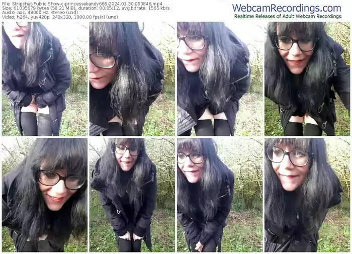 2024/01/30/stripchat-princessekandy666-09-08-46