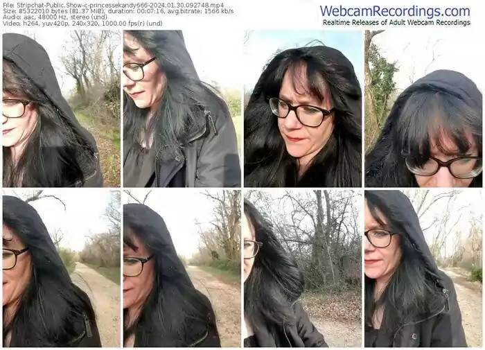 2024/01/30/stripchat-princessekandy666-09-27-48