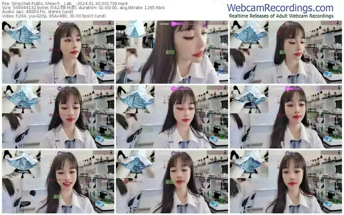 2024/01/30/stripchat-__lab__-00-17-39