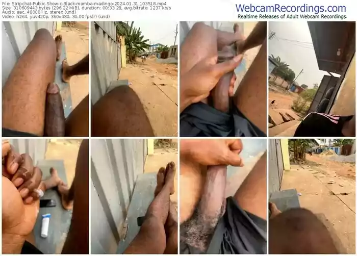 2024/01/31/stripchat-black-mamba-madingo-10-35-18