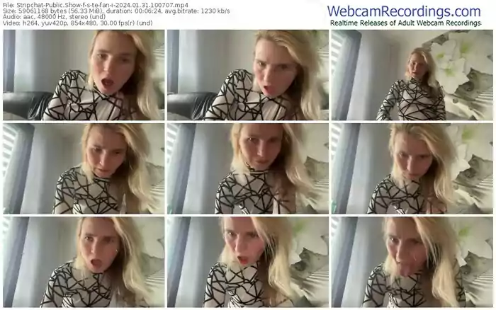 2024/01/31/stripchat-s-te-fan-i-10-07-07