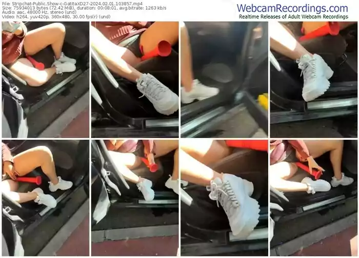 2024/02/01/stripchat-gatitaxd27-10-38-57