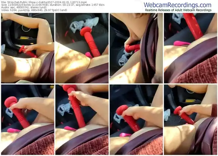 2024/02/01/stripchat-gatitaxd27-12-07-13