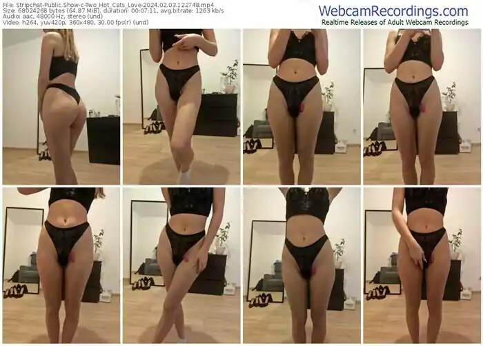 2024/02/03/stripchat-two_hot_cats_love-12-27-48