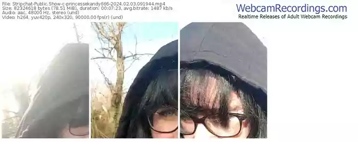 2024/02/03/stripchat-princessekandy666-09-19-44