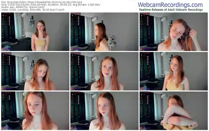 2024/02/03/stripchat-rosewellsk-06-11-58