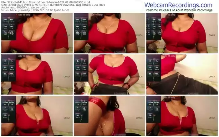 2024/02/08/stripchat-chechi-pennu-06-59-35