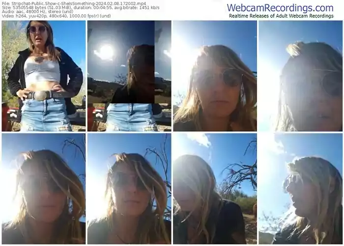 2024/02/08/stripchat-sheissomething-17-20-02