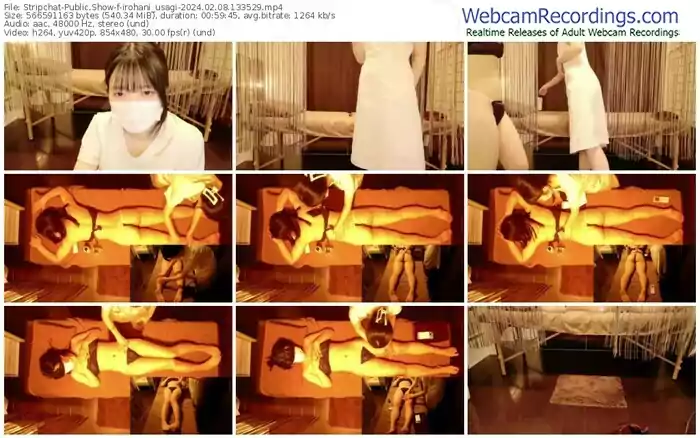 2024/02/08/stripchat-irohani_usagi-13-35-29