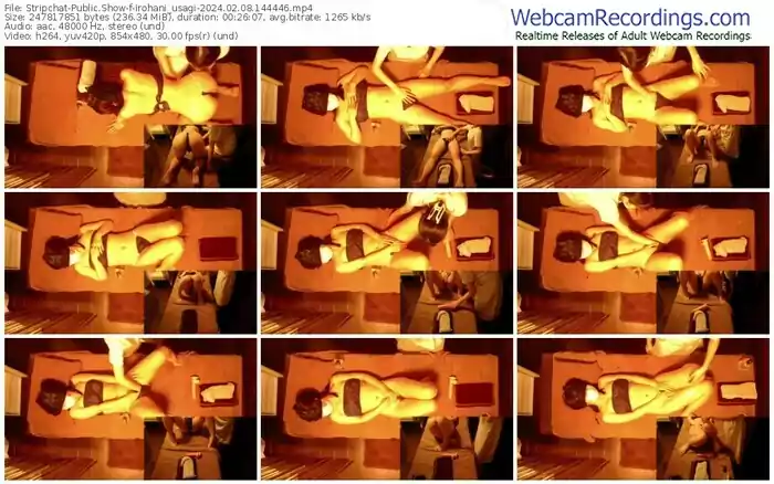 2024/02/08/stripchat-irohani_usagi-14-44-46