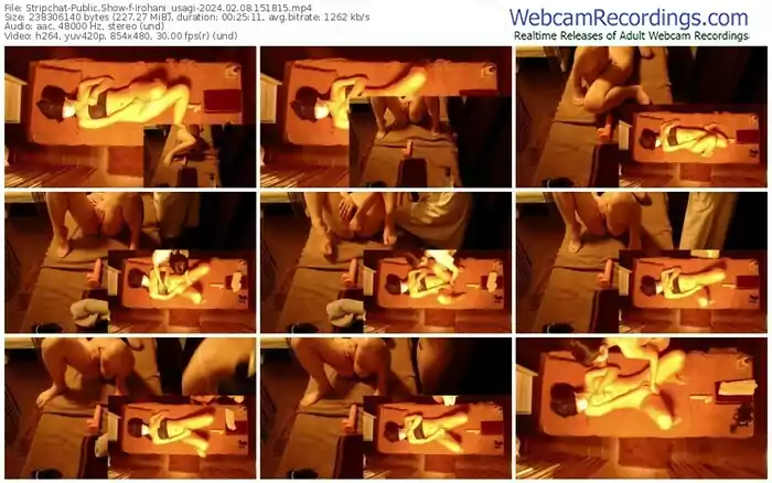 2024/02/08/stripchat-irohani_usagi-15-18-15