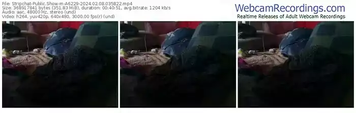 2024/02/08/stripchat-a6229-03-58-22