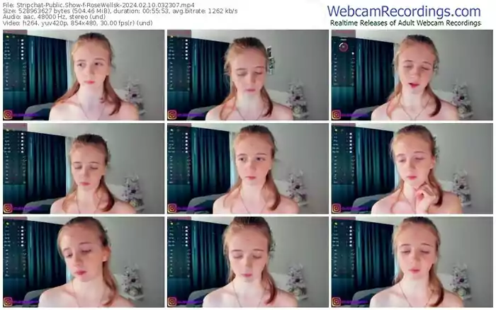 2024/02/10/stripchat-rosewellsk-03-23-07