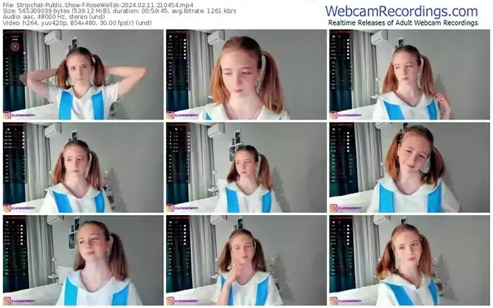 2024/02/11/stripchat-rosewellsk-21-04-54